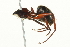  ( - BIOUG00316-D02)  @12 [ ] CreativeCommons - Attribution (2011) CBG Photography Group Centre for Biodiversity Genomics