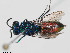 ( - BGE_00092_G08)  @11 [ ] CreativeCommons  Attribution Non-Commercial Share-Alike (2024) Paolo Rosa University of Mons
