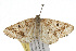  ( - 09BBLEP-04509)  @14 [ ] CreativeCommons - Attribution (2009) Unspecified Centre for Biodiversity Genomics