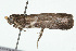 ( - 09BBLEP-04544)  @12 [ ] CreativeCommons - Attribution (2009) Unspecified Centre for Biodiversity Genomics