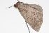  ( - 09BBLEP-04718)  @12 [ ] CreativeCommons - Attribution (2009) Unspecified Centre for Biodiversity Genomics