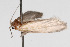  ( - 09BBLEP-04743)  @12 [ ] CreativeCommons - Attribution (2009) Unspecified Centre for Biodiversity Genomics