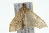  ( - 09BBLEP-04758)  @13 [ ] CreativeCommons - Attribution (2009) Unspecified Centre for Biodiversity Genomics
