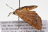  ( - 09BBLEP-04769)  @12 [ ] CreativeCommons - Attribution (2009) Unspecified Centre for Biodiversity Genomics