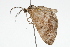  ( - 09BBLEP-04811)  @14 [ ] CreativeCommons - Attribution (2009) Unspecified Centre for Biodiversity Genomics