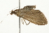  ( - 09BBELE-0164)  @13 [ ] CreativeCommons - Attribution (2009) Unspecified Centre for Biodiversity Genomics