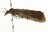  ( - 09BBELE-0215)  @13 [ ] CreativeCommons - Attribution (2009) Unspecified Centre for Biodiversity Genomics