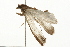  ( - 09BBELE-0230)  @12 [ ] CreativeCommons - Attribution (2009) Unspecified Centre for Biodiversity Genomics