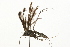  ( - 09BBELE-0241)  @12 [ ] CreativeCommons - Attribution (2009) Unspecified Centre for Biodiversity Genomics