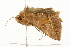  ( - 09BBELE-0266)  @12 [ ] CreativeCommons - Attribution (2009) Unspecified Centre for Biodiversity Genomics
