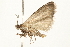  ( - 09BBELE-0341)  @13 [ ] CreativeCommons - Attribution (2009) Unspecified Centre for Biodiversity Genomics