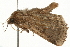  ( - 09BBELE-0446)  @12 [ ] CreativeCommons - Attribution (2009) Unspecified Centre for Biodiversity Genomics