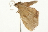  ( - 09BBELE-0474)  @12 [ ] CreativeCommons - Attribution (2009) Unspecified Centre for Biodiversity Genomics