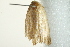  ( - BIOUG01369-C01)  @12 [ ] CreativeCommons - Attribution (2012) CBG Photography Group Centre for Biodiversity Genomics