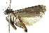  ( - BIOUG01370-F04)  @12 [ ] CreativeCommons - Attribution (2012) CBG Photography Group Centre for Biodiversity Genomics