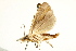  ( - BIOUG01397-D01)  @12 [ ] CreativeCommons - Attribution (2012) CBG Photography Group Centre for Biodiversity Genomics
