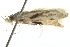  ( - BIOUG01413-A06)  @13 [ ] CreativeCommons - Attribution (2012) CBG Photography Group Centre for Biodiversity Genomics
