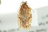  ( - BIOUG01414-G11)  @12 [ ] CreativeCommons - Attribution (2012) CBG Photography Group Centre for Biodiversity Genomics