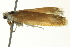  ( - BIOUG01455-H10)  @12 [ ] CreativeCommons - Attribution (2012) CBG Photography Group Centre for Biodiversity Genomics