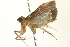  ( - BIOUG01545-H05)  @12 [ ] CreativeCommons - Attribution (2012) CBG Photography Group Centre for Biodiversity Genomics