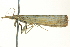  ( - BIOUG01550-B07)  @12 [ ] CreativeCommons - Attribution (2012) CBG Photography Group Centre for Biodiversity Genomics