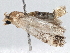  ( - BIOUG01545-H10)  @12 [ ] CreativeCommons - Attribution (2013) CBG Photography Group Centre for Biodiversity Genomics