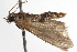  ( - BIOUG01838-E11)  @13 [ ] CreativeCommons - Attribution (2012) CBG Photography Group Centre for Biodiversity Genomics