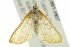  ( - BIOUG01991-H07)  @12 [ ] CreativeCommons - Attribution (2013) CBG Photography Group Centre for Biodiversity Genomics
