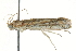  ( - BIOUG01994-C10)  @12 [ ] CreativeCommons - Attribution (2013) CBG Photography Group Centre for Biodiversity Genomics