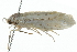  ( - 10BBCLP-0629)  @12 [ ] CreativeCommons - Attribution (2011) CBG Photography Group Centre for Biodiversity Genomics