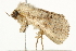  ( - 10BBCLP-1446)  @12 [ ] CreativeCommons - Attribution (2011) CBG Photography Group Centre for Biodiversity Genomics