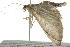 ( - 10BBCLP-1149)  @14 [ ] CreativeCommons - Attribution (2011) CBG Photography Group Centre for Biodiversity Genomics