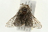  ( - 09BBELE-1125)  @13 [ ] CreativeCommons - Attribution (2009) Unspecified Centre for Biodiversity Genomics