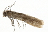  ( - 09BBELE-1338)  @12 [ ] CreativeCommons - Attribution (2009) Unspecified Centre for Biodiversity Genomics