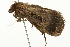  ( - 09BBELE-1413)  @13 [ ] CreativeCommons - Attribution (2009) Unspecified Centre for Biodiversity Genomics