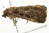  ( - 09BBELE-1417)  @13 [ ] CreativeCommons - Attribution (2009) Unspecified Centre for Biodiversity Genomics