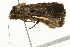  ( - 09BBELE-1418)  @13 [ ] CreativeCommons - Attribution (2009) Unspecified Centre for Biodiversity Genomics