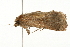  ( - 09BBELE-1425)  @12 [ ] CreativeCommons - Attribution (2009) Unspecified Centre for Biodiversity Genomics