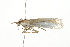  ( - 09BBELE-1536)  @12 [ ] CreativeCommons - Attribution (2009) Unspecified Centre for Biodiversity Genomics