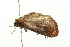  ( - 09BBELE-1554)  @12 [ ] CreativeCommons - Attribution (2009) Unspecified Centre for Biodiversity Genomics