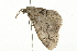  ( - 09BBELE-1685)  @12 [ ] CreativeCommons - Attribution (2009) Unspecified Centre for Biodiversity Genomics
