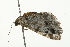  ( - 09BBELE-1690)  @12 [ ] CreativeCommons - Attribution (2009) Unspecified Centre for Biodiversity Genomics