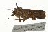  ( - 09BBELE-1692)  @12 [ ] CreativeCommons - Attribution (2009) Unspecified Centre for Biodiversity Genomics