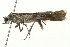  ( - 09BBELE-1763)  @14 [ ] CreativeCommons - Attribution (2009) Unspecified Centre for Biodiversity Genomics