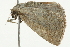  ( - 09BBELE-1821)  @13 [ ] CreativeCommons - Attribution (2009) Unspecified Centre for Biodiversity Genomics