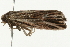  ( - 09BBELE-1823)  @12 [ ] CreativeCommons - Attribution (2009) Unspecified Centre for Biodiversity Genomics