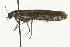  ( - 09BBELE-1825)  @12 [ ] CreativeCommons - Attribution (2009) Unspecified Centre for Biodiversity Genomics