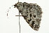  ( - 09BBELE-1826)  @12 [ ] CreativeCommons - Attribution (2009) Unspecified Centre for Biodiversity Genomics