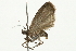  ( - 09BBELE-1830)  @13 [ ] CreativeCommons - Attribution (2009) Unspecified Centre for Biodiversity Genomics