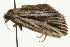  ( - 09BBELE-1836)  @12 [ ] CreativeCommons - Attribution (2009) Unspecified Centre for Biodiversity Genomics